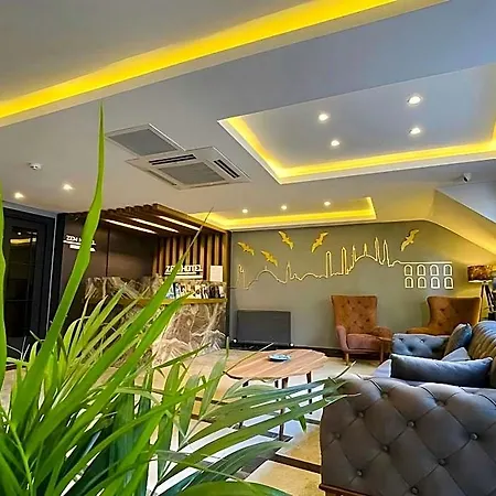Zem Hotell 3*